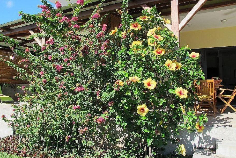 Villa Des Frangipanes 拉高莱特 外观 照片